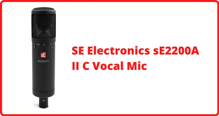 SE Electronics sE2200a II C Large Diaphragm Vocal Mic