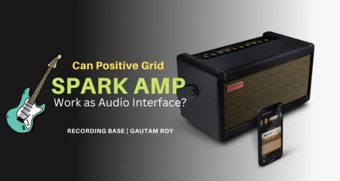 Can Positive Grid Spark Amp Work as Audio Interface