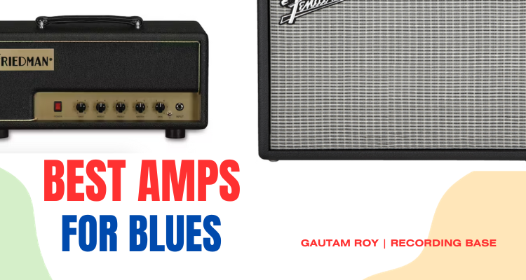 Top 9 Best Amps for Blues [2024]