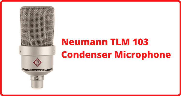 Neumann TLM 103 condenser mic